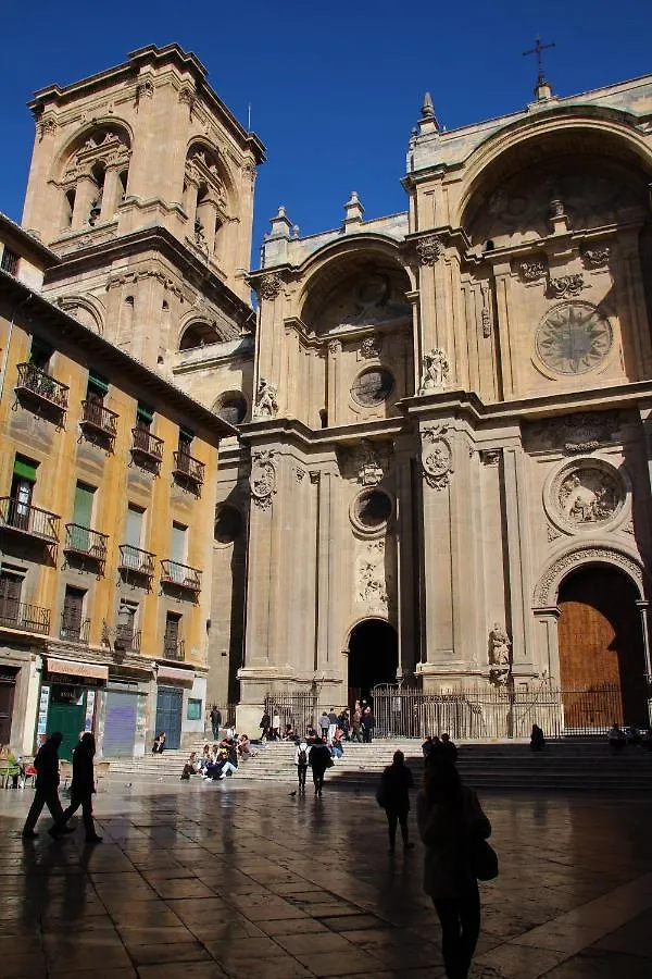 Ninos Luchando Granada Espanha