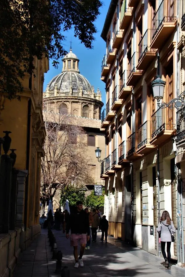 Ninos Luchando Granada